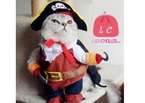 Disfraz de pirata para gatos