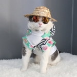 Gafas de sol estilosas para gatos o perros pequeños