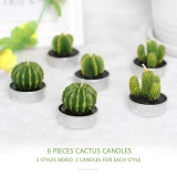 Pack de 6 velas con forma de cactus