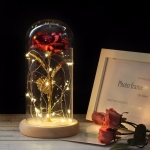 Rosa eterna de la Bella y la Bestia en cúpula con luz